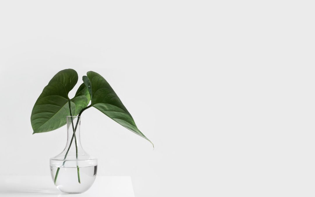 Simplify, Simplify
